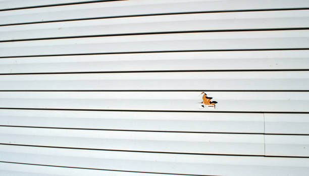 Best James Hardie Siding  in Spring Lake, NC